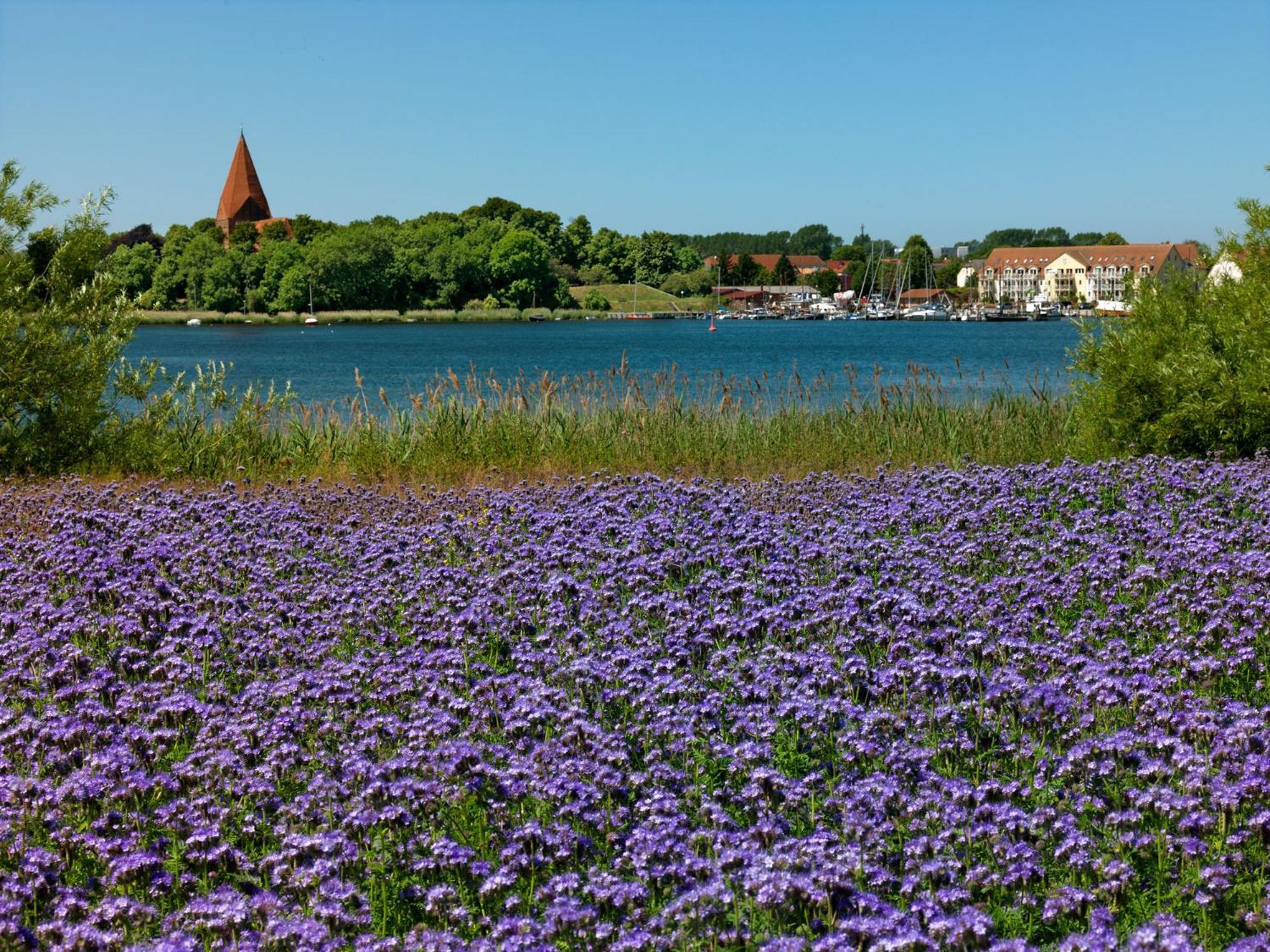 Daenisches Ferienhaus Kaltenhof ภายนอก รูปภาพ